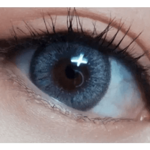 LensVery Venti Ann Gray - Idol Karakon