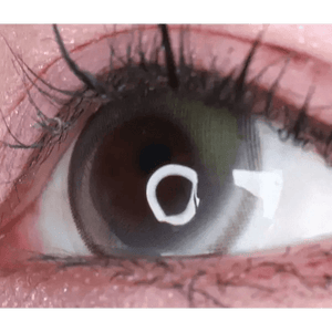 LensVery Wish Ring 1Day Olive Green (10p) - Idol Karakon