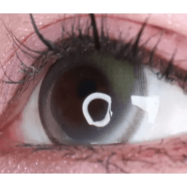 LensVery Wish Ring 1Day Olive Green (10p) - Idol Karakon