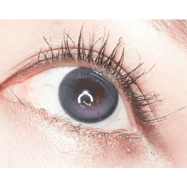 LensVery Wish Ring 1Day Violet (10p) - Idol Karakon