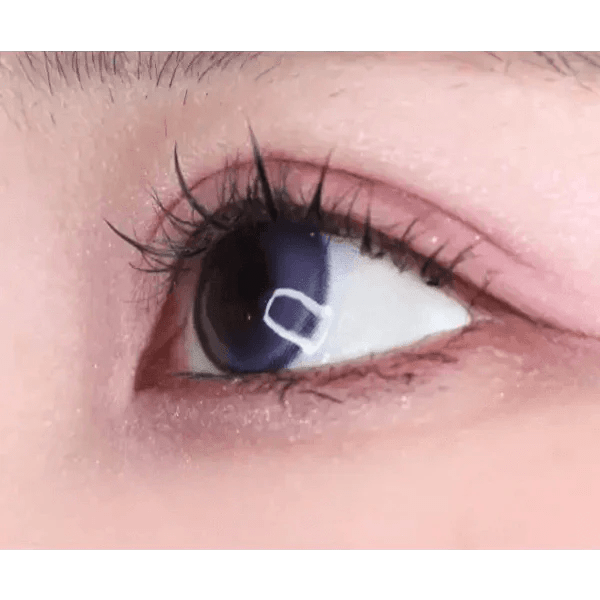 LensVery Wish Ring 1Day Violet (10p) - Idol Karakon