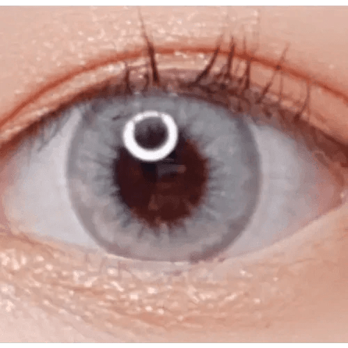 LensVery Wonder Eye Deep Gray - Idol Karakon