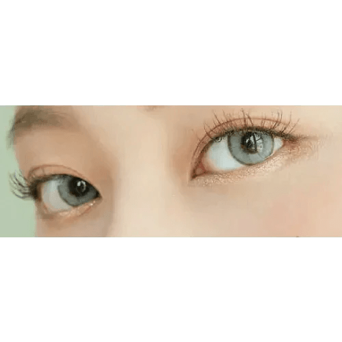 LensVery Wonder Eye Gray (10p) - Idol Karakon