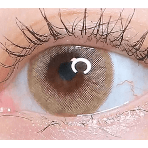 LensVery Wonder Eye Hazel (10p) - Idol Karakon