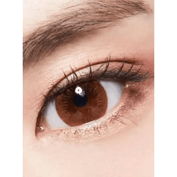 LensTown Lighly Modern Brown (20p) - Idol Karakon