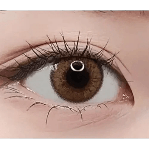 LensRang Mad Eye Brown - Idol Karakon