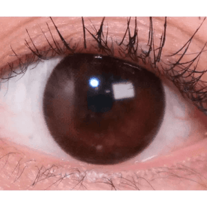 Olens Misty Romantic Choco (20p) - Idol Karakon