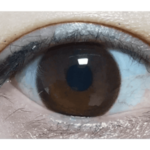 Olens It's Choco - Idol Karakon