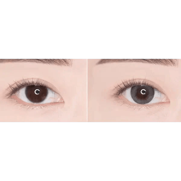 ニルス ワンデー グレー[1箱20枚] Nils 1Day Gray (20p) - Idol Karakon