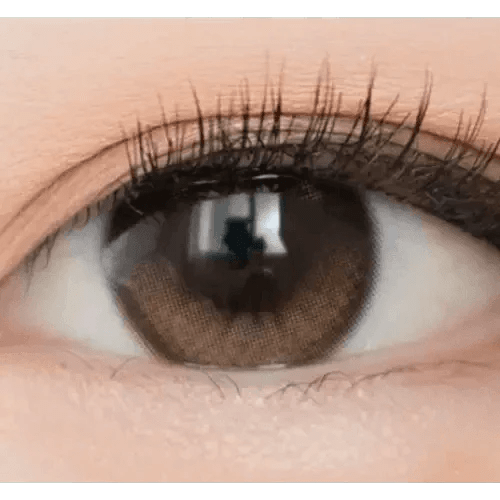 Eyelighter Glowy ワンデー ブラウン[1箱10枚] Eyelighter Glowy 1Day Brown (10p) - Idol Karakon