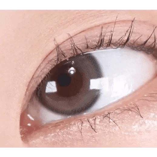 リアルリング ワンデー グレー[1箱10枚] Real Ring 1Day Gray (10p) - Idol Karakon