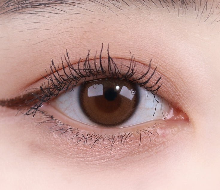 リアルリング ブラウン トーリック（乱視用） Real Ring Brown Toric (For astigmatism) - Idol Karakon