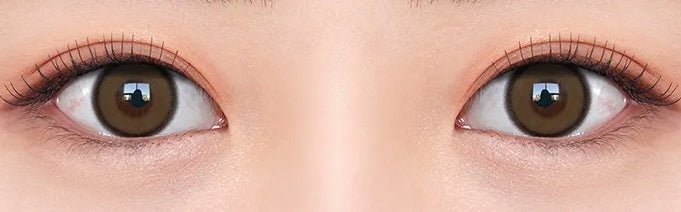 リアリッシュ ワンデー ブラウン[1箱10枚] Realish 1Day Brown (10p) - Idol Karakon