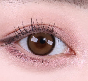 リアリッシュ ワンデー ブラウン[1箱10枚] Realish 1Day Brown (10p) - Idol Karakon