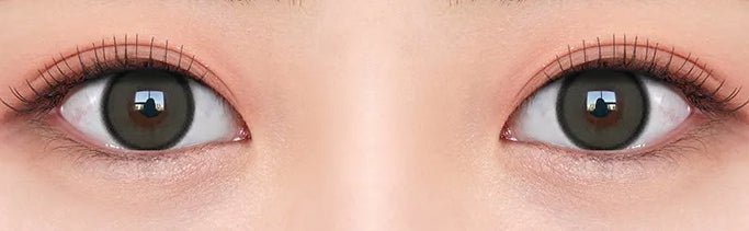 リアリッシュ ワンデー グレー[1箱10枚] Realish 1Day Gray (10p) - Idol Karakon