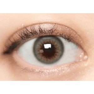 Olens Scandi 1Day Gray (20p) - Idol Karakon