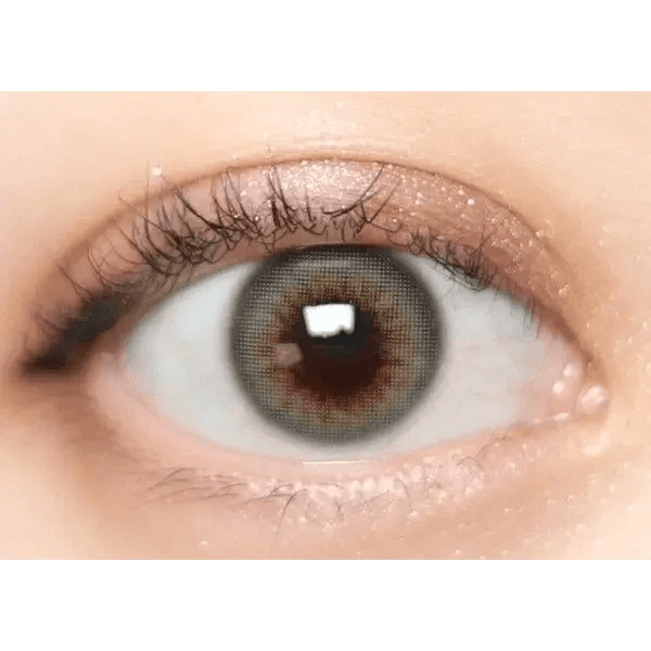 Olens Scandi 1Day Gray (20p) - Idol Karakon