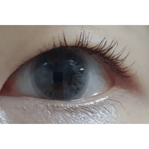 Olens Seolem 3 Color Gray - Idol Karakon