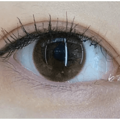 Olens ShineB Brown - Idol Karakon