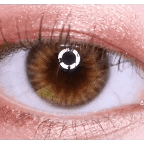 Olens Spanish Real Brown - Idol Karakon