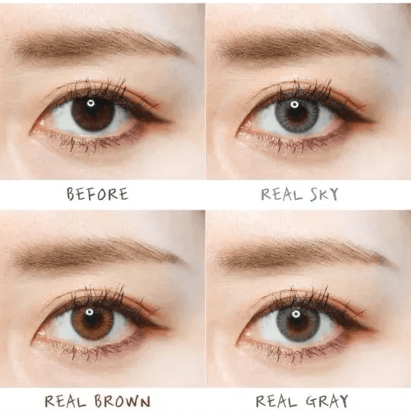 Olens Spanish Real Brown - Idol Karakon