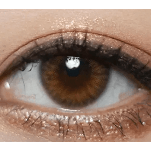 Olens Spanish Real Brown - Idol Karakon