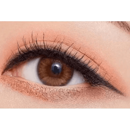 Olens Spanish Real Brown - Idol Karakon