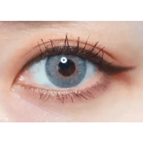 Olens Symphony 3con Gray - Idol Karakon