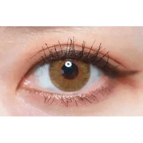Olens Symphony 3con Hazel - Idol Karakon