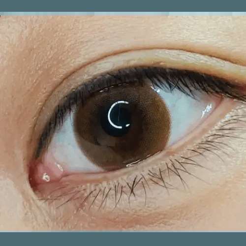 Olens WannaBe Camel Brown - Idol Karakon