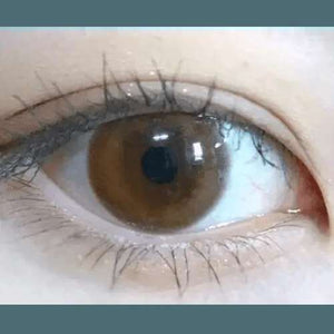 Olens WannaBe Camel Brown - Idol Karakon
