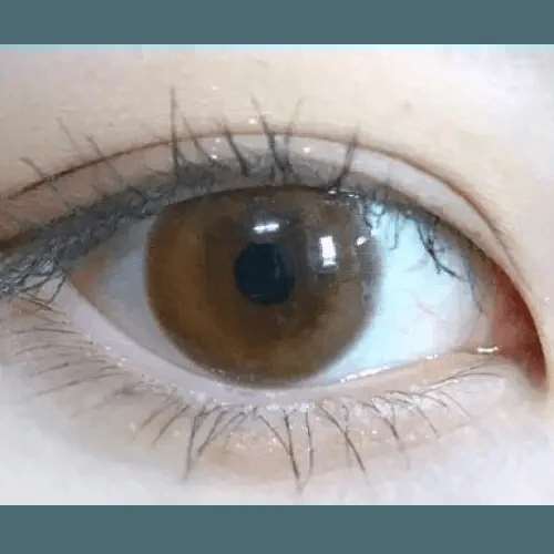 Olens WannaBe Camel Brown - Idol Karakon