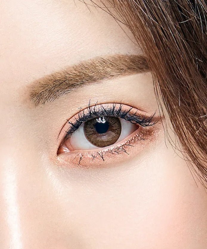 Olens Winky Star Brown - Idol Karakon