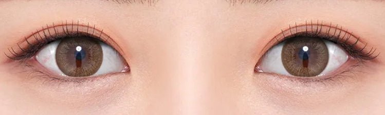 Olens Winky Star Brown - Idol Karakon