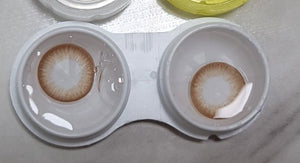 Olens Winky Star Brown - Idol Karakon