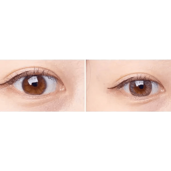 Olens Winky Star Gray - Idol Karakon