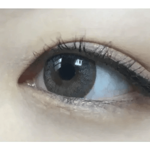 Olens Winky Star Gray - Idol Karakon