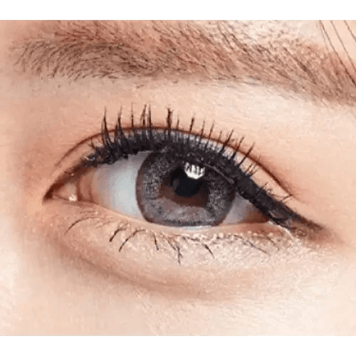 Olens Winky Star Gray - Idol Karakon