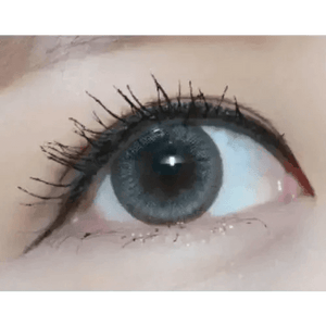 Olens Winky Star Gray - Idol Karakon