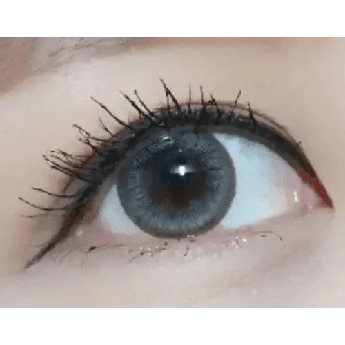 Olens Winky Star Gray - Idol Karakon