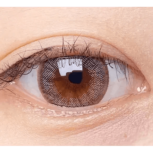 Olens Winky Star Gray - Idol Karakon