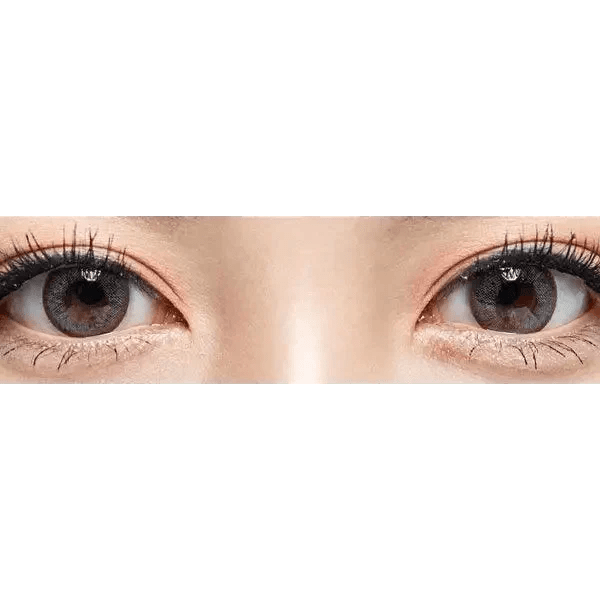 Olens Winky Star Gray - Idol Karakon