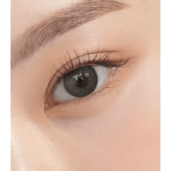 Olens Winsome Gray - Idol Karakon