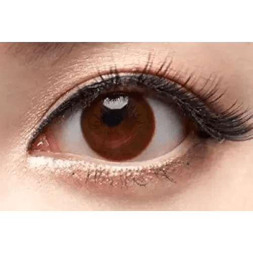 Olens Yeppy Brown - Idol Karakon