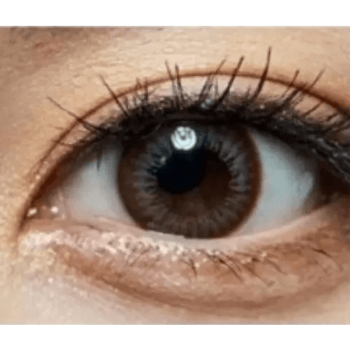 Olens Yeppy Gray - Idol Karakon