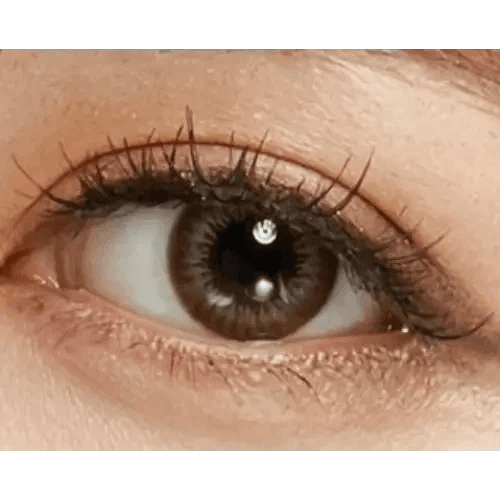 Olens Yeppy Gray - Idol Karakon