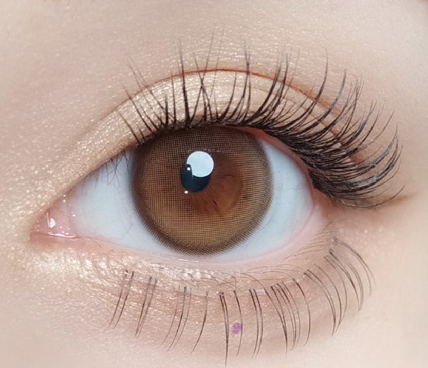 ピュリティ シャイン ヘーゼルブラウン（10p） — Purity Shine Hazel Brown (10p) - Idol Karakon