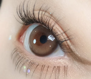 ピュリティ シャイン トープブラウン（10p） — Purity Shine Taupe Brown (10p) - Idol Karakon