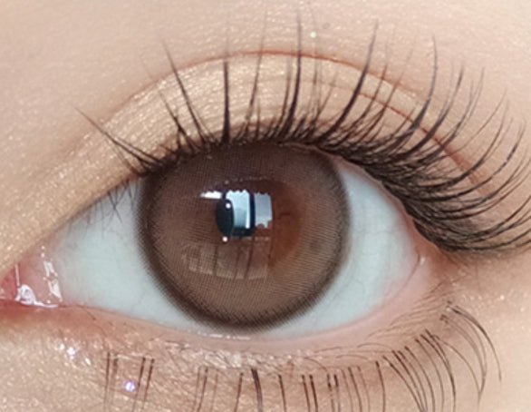ピュリティ シャイン トープブラウン（10p） — Purity Shine Taupe Brown (10p) - Idol Karakon