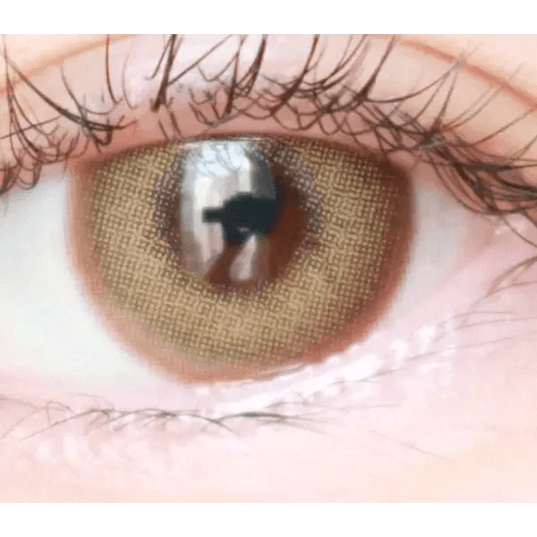 フォトジェニック クリームベージュ（10p） — Photogenic Cream Beige (10p) - Idol Karakon